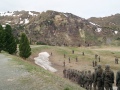 SONY DSC