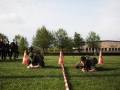 2018_04_17_Garde_StbKp_KPE_Military Fitness Test-1