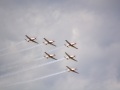 DSC_7536