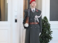 2019_02_05_Garde_Treppenspalier_Hofburg - 3 of 9
