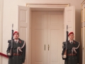 2019_02_05_Garde_Treppenspalier_Hofburg - 7 of 9