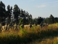 DSC01579