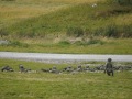 1_DSC03279