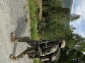 IMG_4398-2