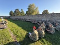 IMG_5039
